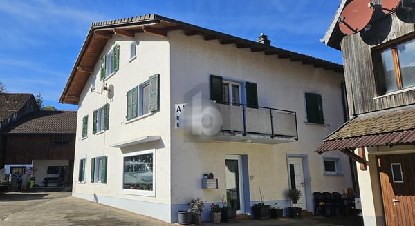 SPACIEUSE ENTIÉREMENT RÉNOVÉ AU CALME 3