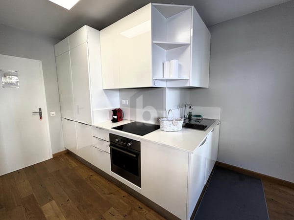 HERRLICHE BERGSICHT IN SEENÄHE 3