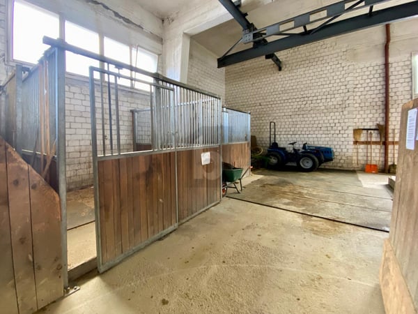 REITHALLE ZUR HÄLFTE IM MITEIGENTUM 3