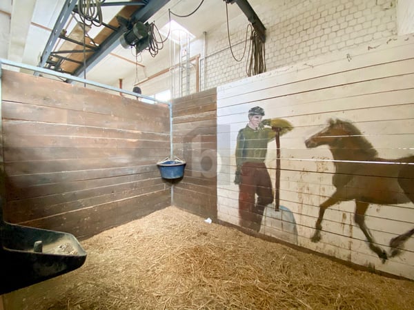 REITHALLE ZUR HÄLFTE IM MITEIGENTUM 4