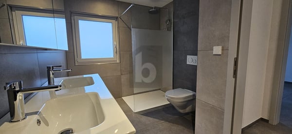 MAGNIFIQUE ET NEUF 4