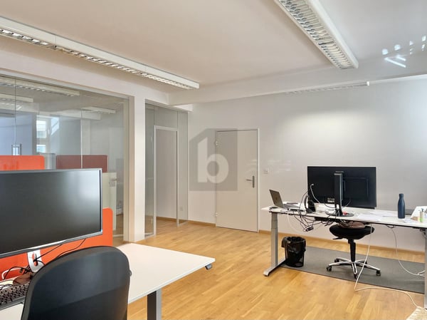 MIT RHEINBLICK, IM ZENTRUM 5