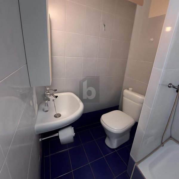 BUREAU AVEC JARDIN 5