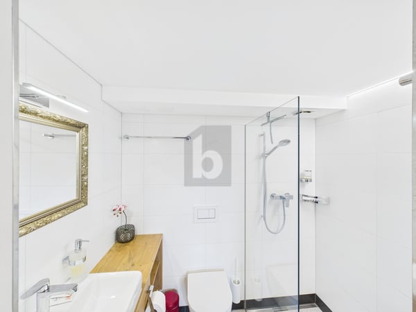 CHARMANT IM APPENZELLER STIL 3