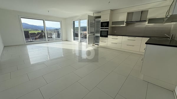 MAGNIFIQUE ATTIQUE AVEC VUE PANORAMIQUE 1