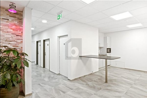 GROSSZÜGIGES UND ATTRAKTIVES BÜRO 3