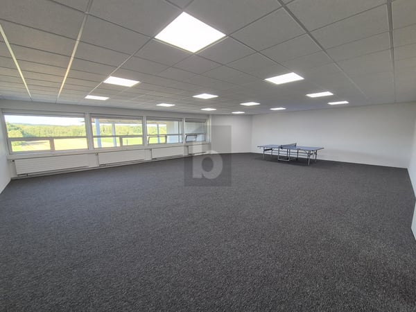 GROSSZÜGIGES UND ATTRAKTIVES BÜRO 5