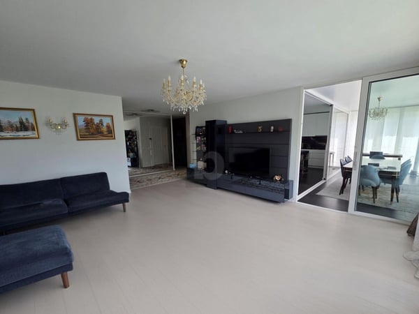 CONFORT FAMILIAL SPACIEUX À GENÈVE 2