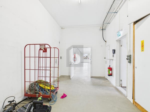 GROSSE FLÄCHE AN GUTER LAGE 5