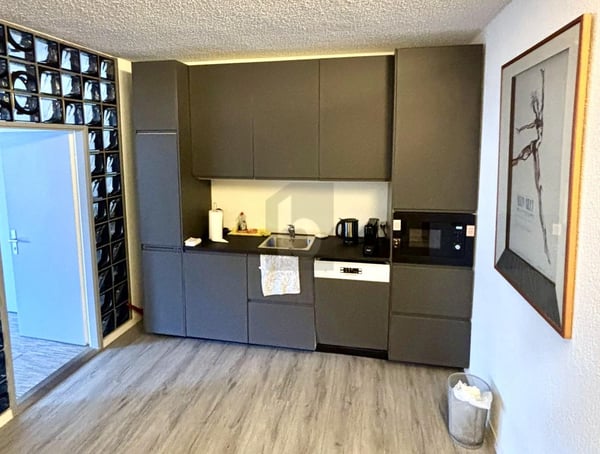 NOUVEAU LIEU DE TRAVAIL AU CENTRE DE GENÈVE 5