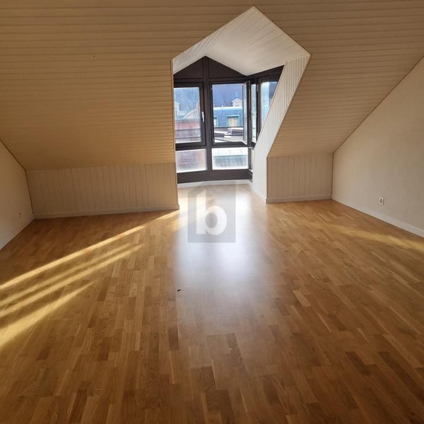 VUE IMPRENABLE EN PLEIN CENTRE 3