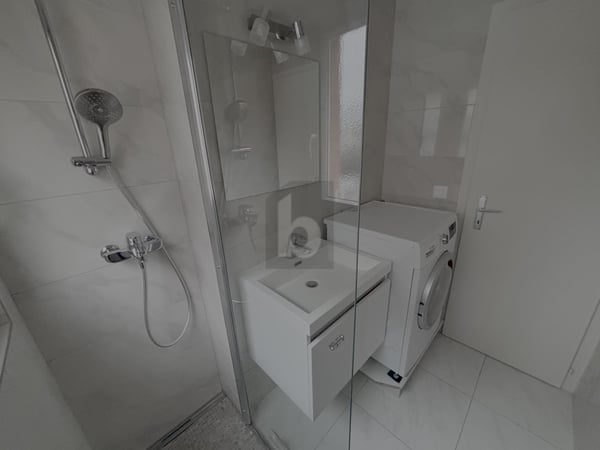 PROCHE DU LAC ET VUE SPLENDIDE SUR LES ALPES 4