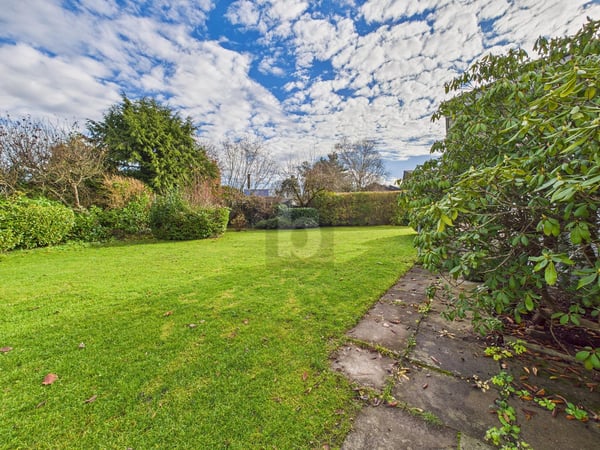 HOCHWERTIGE WOHNOASE AN RUHIGER LAGE 5