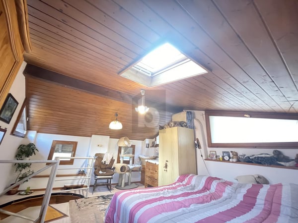 SINGOLA NEL NUCLEO 3