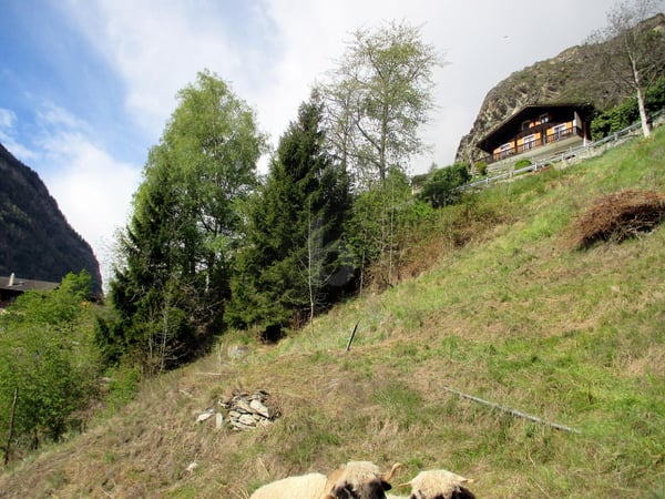 HERRLICHE WEITSICHT - IDEAL FÜR BAUUNTERNEHMER 4