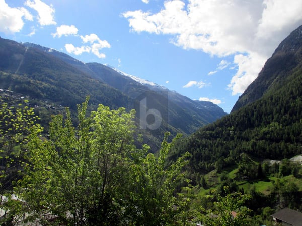 HERRLICHE WEITSICHT - IDEAL FÜR BAUUNTERNEHMER 1