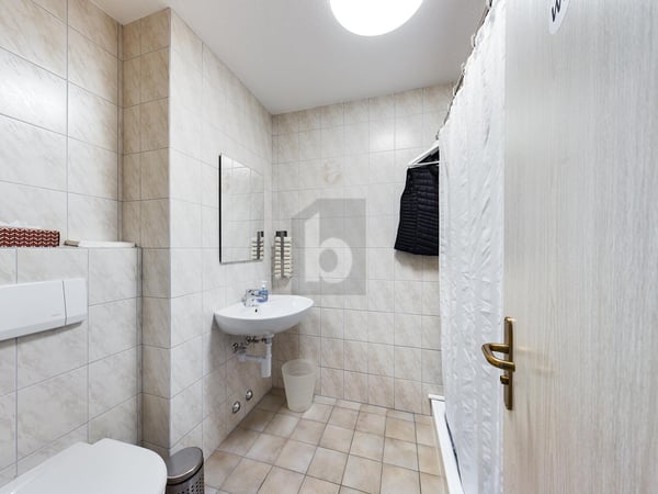 ARBEITSPLATZ MIT AUSSICHT AUF DEN ZÜRICHSEE 4