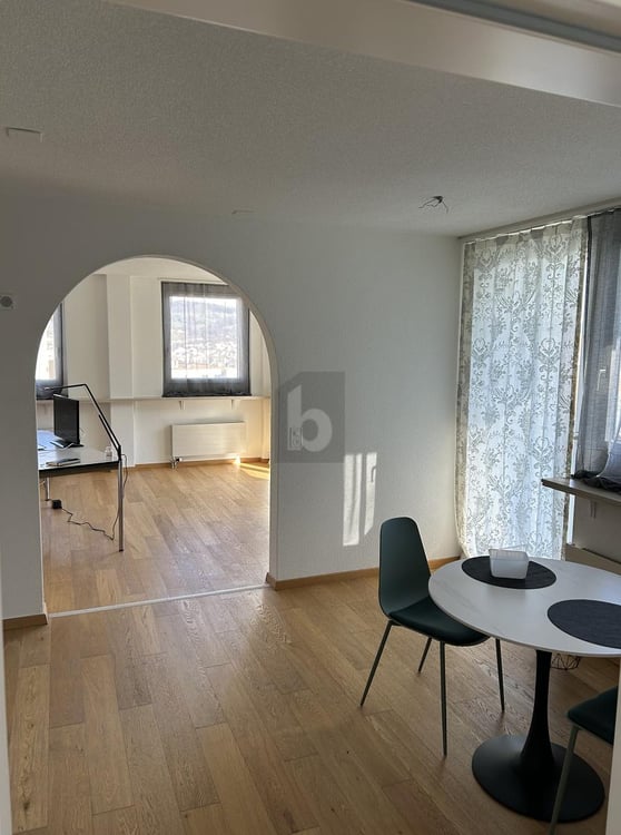 ARBEITSPLATZ MIT AUSSICHT AUF DEN ZÜRICHSEE 3