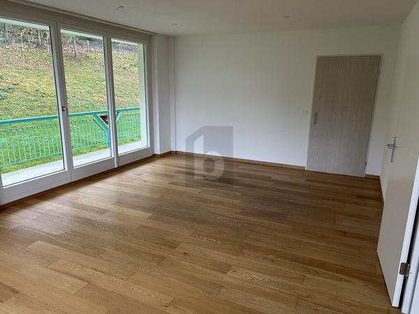 ARBEITSPLATZ MIT AUSSICHT AUF DEN ZÜRICHSEE 2