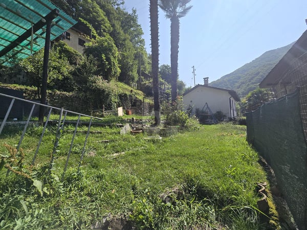 TRANQULLA E SPAZIOSA CON GIARDINO 3