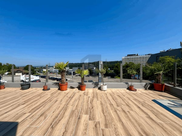 FRISCH RENOVIERT MIT GROSSER TERRASSE 1