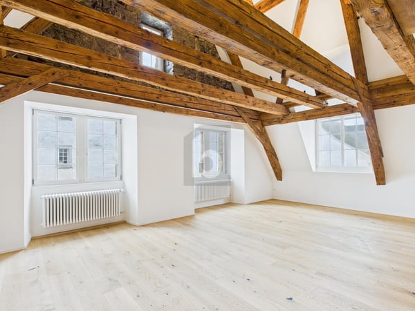 MODERNSTER STANDARD, 1. MONAT GESCHENKT! 1