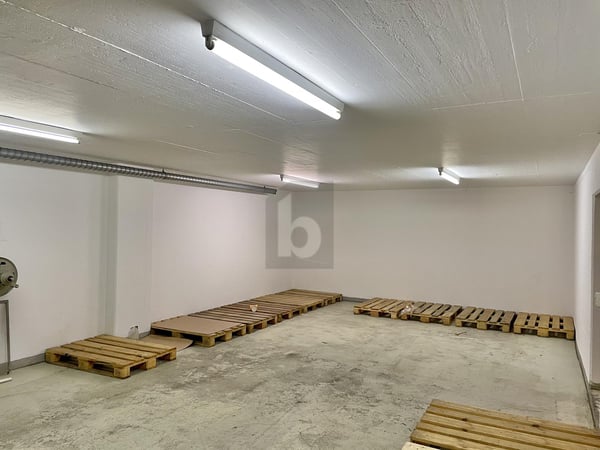 VIEL PLATZ, AN ZENTRALER LAGE 1