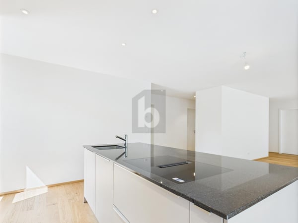 EIN HAUCH VON LUXUS 2