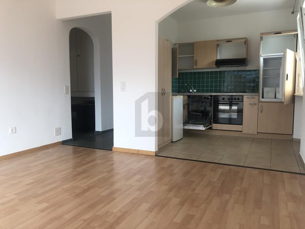 GRANDE PLURIFAMILIARE CON POTENZIALE 4