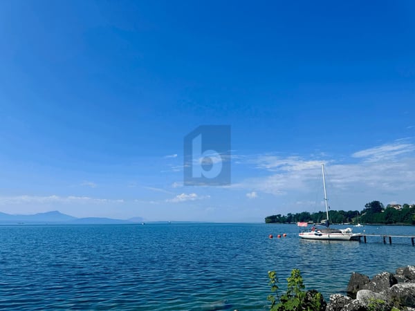 ARCADE AU COEUR DU BOURG DE SAINT-PREX 3