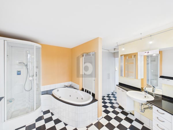 GROSSE TERRASSE, MIT STILVOLLER KÜCHE UND BAD 3