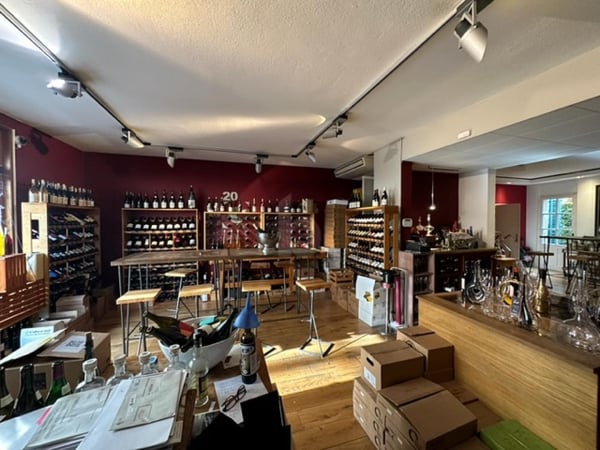 CAVE À VIN PRESTIGIEUX, QUARTIER CHARMANT, CAROUGE 2