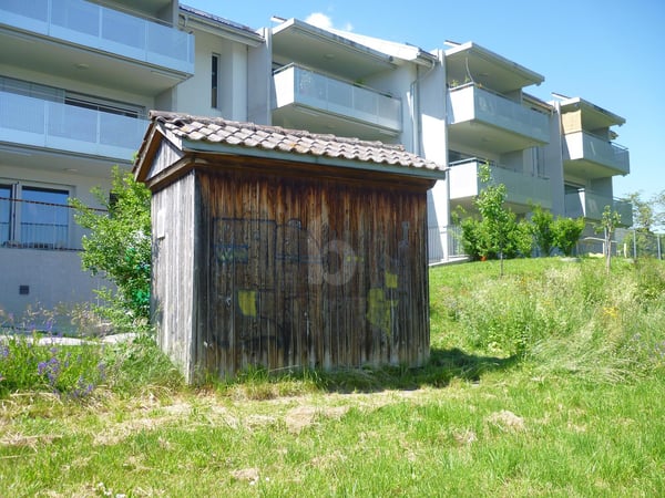 PETITE CABANE POUR STOCKAGE 1