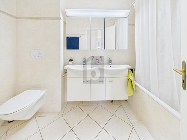 L'ART DE VIVRE FACE AU LAC 5