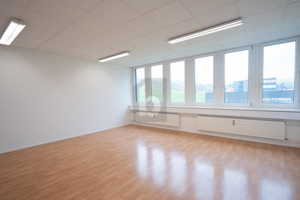 STEUER OPTIMIERTER STANDORT, AUSGEZEICHNETE LAGE! 5