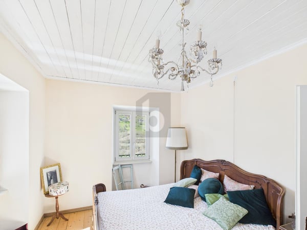 SPAZIOSA CON MOLTO TERRENO EDIFICABILE 2