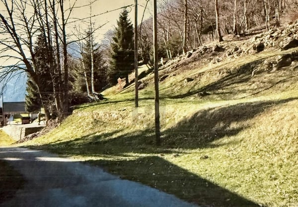 SOLEGGIATO E TRANQUILLO 1