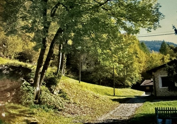 SOLEGGIATO E TRANQUILLO 2