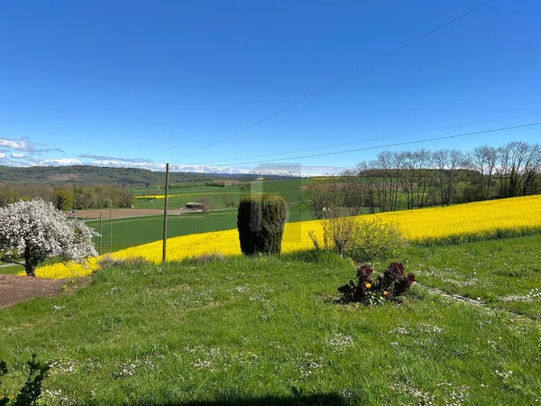 UN COIN DE PARADIS AU COEUR DE LA NATURE ! 2