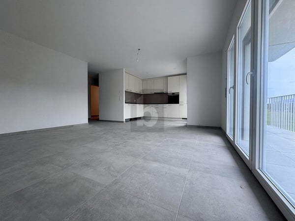 NEUF AVEC TRÈS GRAND BALCON AU SUD (LOT 13/15) 3