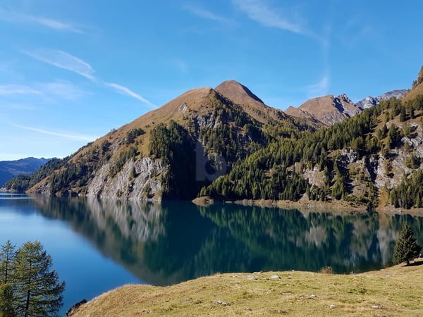 MODERNO E LUMINOSO CON GIARDINO 5