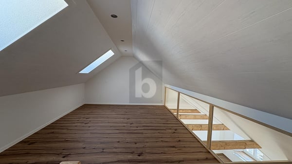 MAGNIFIQUE DUPLEX ENTIÉREMENT NEUF 3