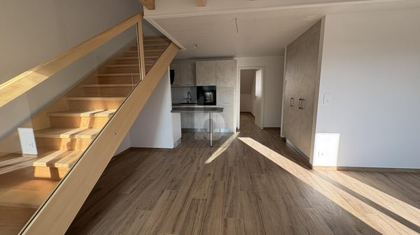 MAGNIFIQUE DUPLEX ENTIÉREMENT NEUF 1