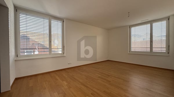 IM HERZEN VON HINWIL MIT BLICK ZUM BACHTEL 4