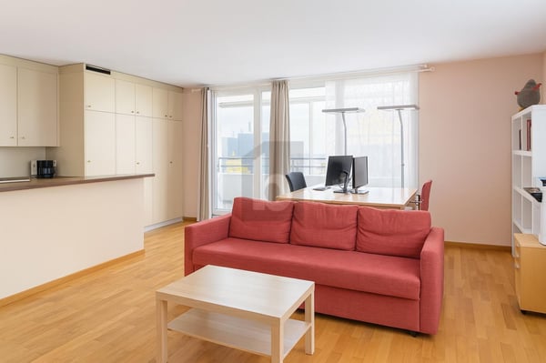 MODERNE ET LUMINEUX AUX AVOUILLONS 4