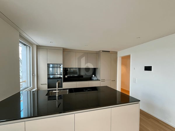 ERSTBEZUG: GROSSER BALKON, SICHT AUF DEN ÜETLIBERG 3