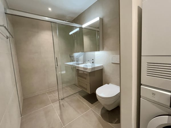 ERSTBEZUG: GROSSER BALKON, SICHT AUF DEN ÜETLIBERG 5