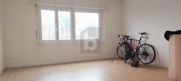 GROSSZÜGIG MIT SONNIGER TERRASSE 4