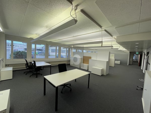 GROSS UND HELL AN ZENTRALER LAGE 2