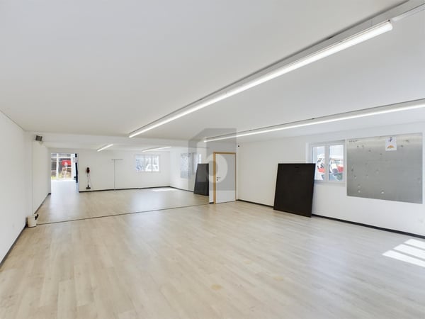 MODERN UND LICHTDURCHFLUTET 3